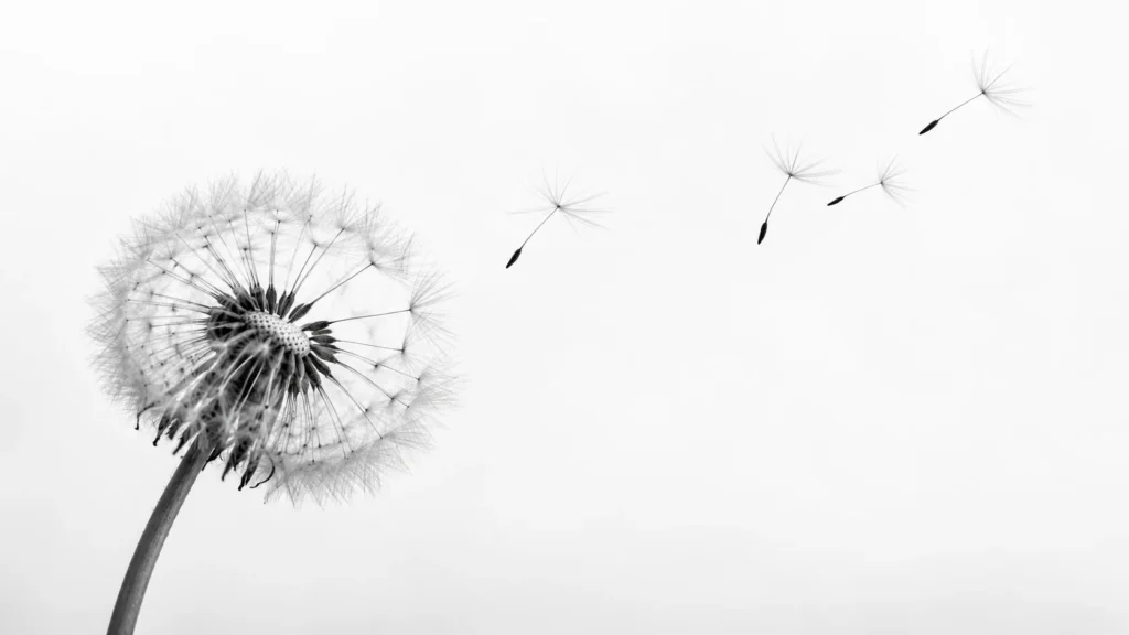 Anxiety Therapy in Edmonton: Symptoms, Types, and How to Finally Feel Better